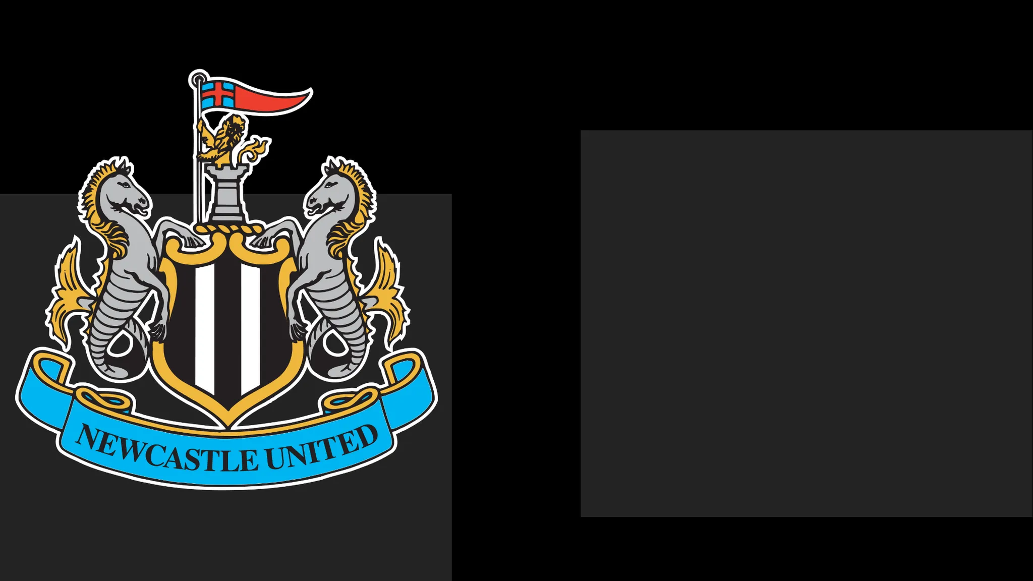 Newcastle's boss Praises Team's Spirit – Yet It Only Takes Them To a Point