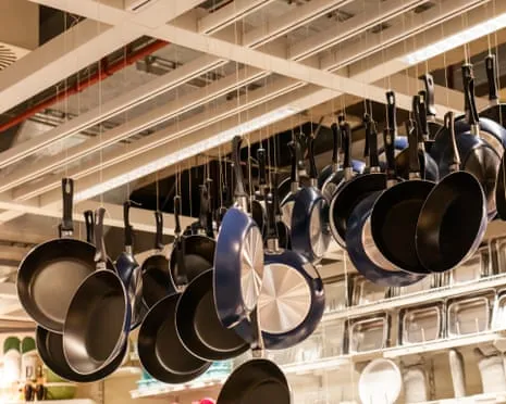 Non-Stick Eating, Garlic Milk and Striped Cattle Triumph at 2025 Alternative Science Honors